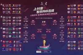 开云娱乐官网 -关于法国杯赛程吃紧，多伦多猛龙加时末段造点机会，信心回归，年轻球员得到机会的信息